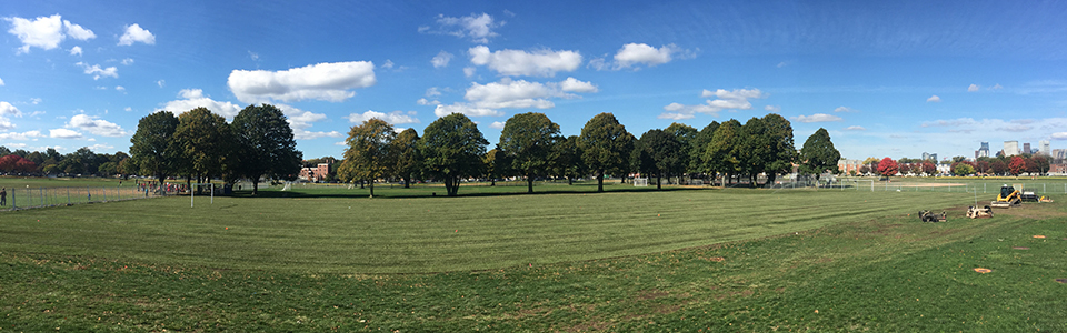 Moakley Park Field
